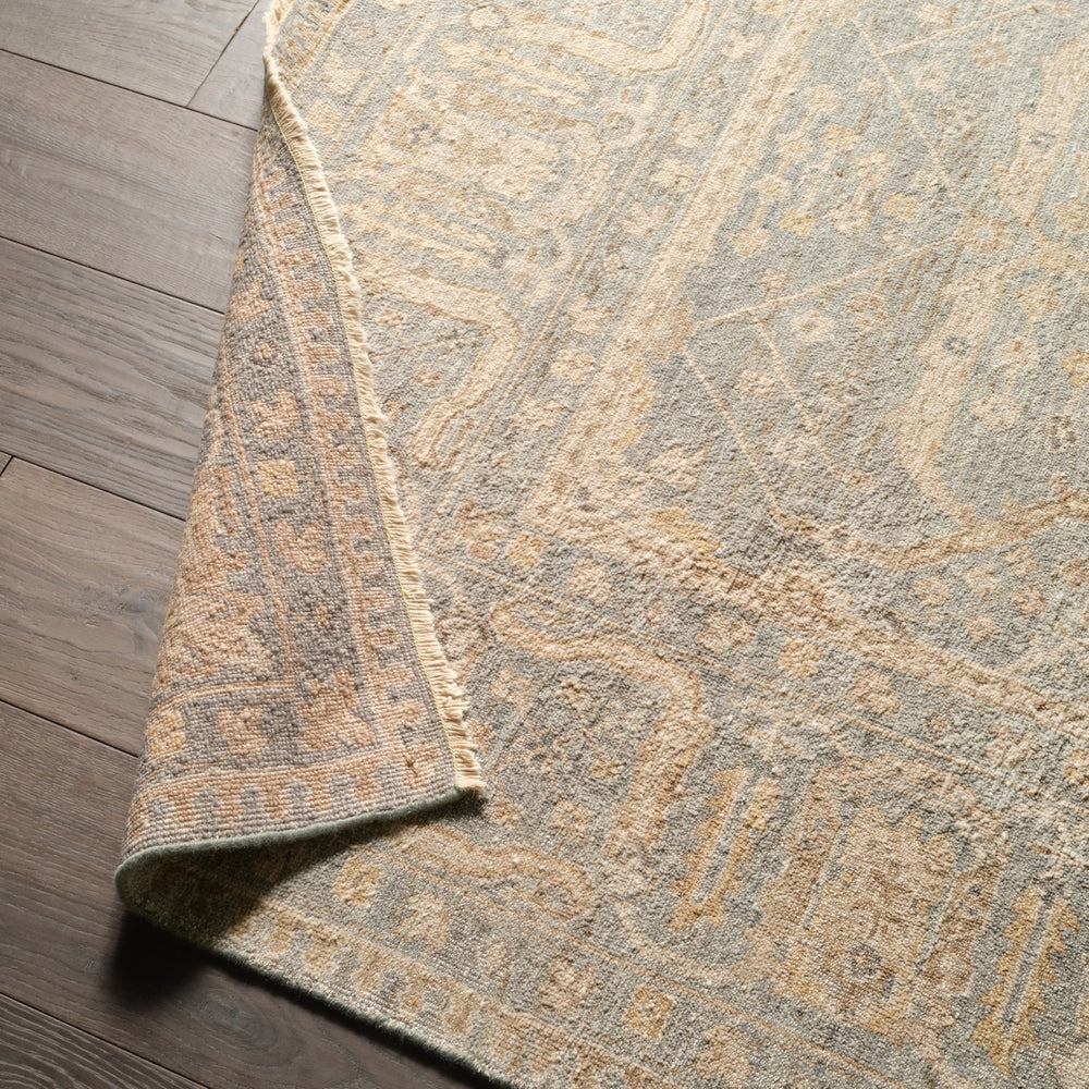 Jaipur Living Tierzah TRZ05 Area Rug Lifestyle Image Feature