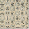 Jaipur Living Tessera by Crystal TSS02 Gray/Cream Area Rug Verde Home