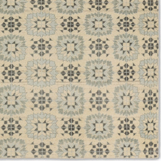 Jaipur Living Tessera by Crystal TSS02 Gray/Cream Area Rug Verde Home