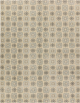 Jaipur Living Tessera by Crystal TSS02 Gray/Cream Area Rug Verde Home