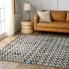 Jaipur Living Tessera by Gem TSS03 Black/Cream Area Rug Verde Home