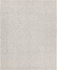 Jaipur Living Union Harding UNI01 Cream/Light Gray Area Rug