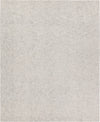 Jaipur Living Union Harding UNI01 Cream/Light Gray Area Rug