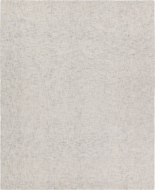 Jaipur Living Union Harding UNI01 Cream/Light Gray Area Rug