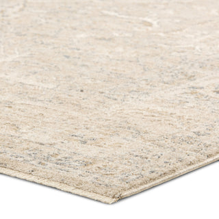 Jaipur Living Vekhea Aslan VEK02 Gray/Tan Area Rug Corner Image