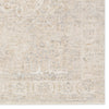 Jaipur Living Vekhea Aslan VEK02 Gray/Tan Area Rug Detail Image