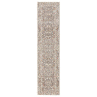 Jaipur Living Valentia Amaris VLN08 Gray/Cream Area Rug Runner Image