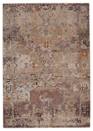 Jaipur Living Valentia Thessaly VLN11 Gold/Maroon Area Rug main image
