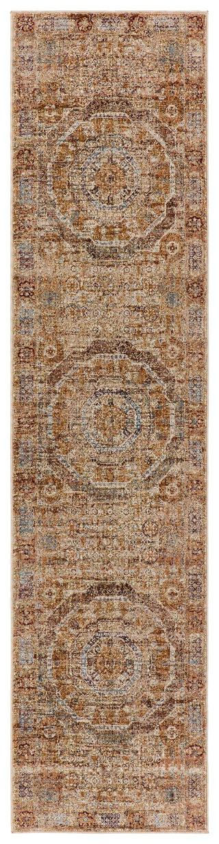 Jaipur Living Valentia Arcadia VLN15 Rust/Blue Area Rug Runner Image