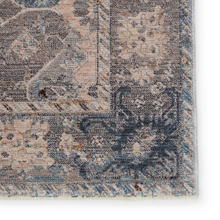 Jaipur Living Valentia Thessaly VLN21 Blue/Gray Area Rug Detail Image