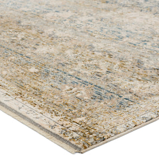 Jaipur Living Valentia Skylark VLN22 Gray/Cream Area Rug Corner Image