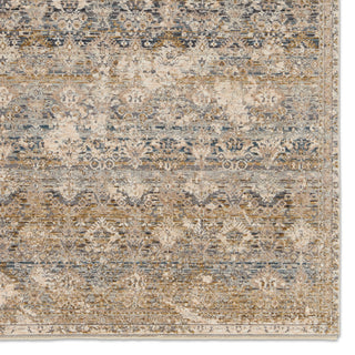 Jaipur Living Valentia Skylark VLN22 Gray/Cream Area Rug Detail Image