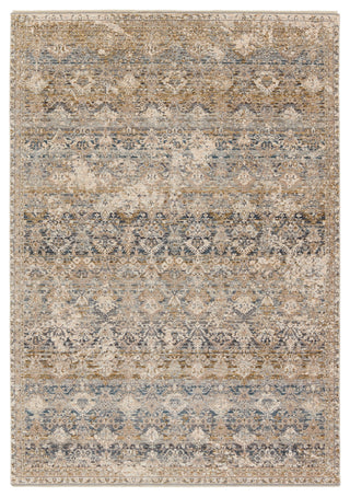 Jaipur Living Valentia Skylark VLN22 Gray/Cream Area Rug main image