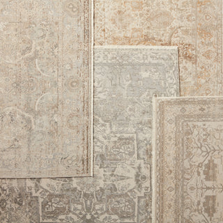 Jaipur Living Vienne Alain VNE01 Gray/Cream Area Rug Main Image