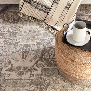 Jaipur Living Vienne Alain VNE01 Gray/Cream Area Rug Lifestyle Image