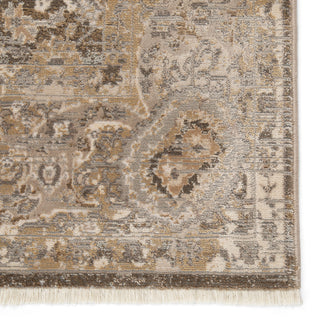 Jaipur Living Vienne Baptiste VNE02 Dark Taupe/Gold Area Rug Detail Image