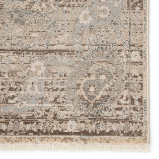 Jaipur Living Vienne Baptiste VNE03 Gray/Cream Area Rug Detail Image