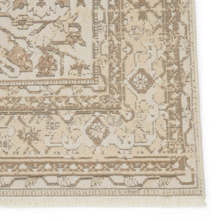 Jaipur Living Vienne Valentin VNE05 Cream/Light Gray Area Rug Detail Image