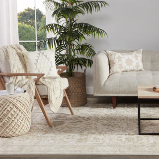 Jaipur Living Vienne Valentin VNE05 Cream/Light Gray Area Rug Main Image