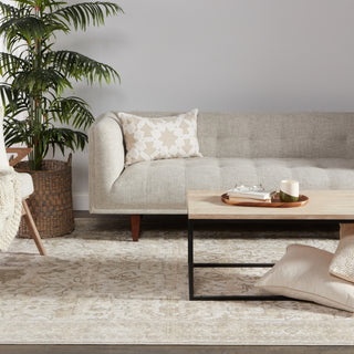 Jaipur Living Vienne Valentin VNE05 Cream/Light Gray Area Rug Main Image