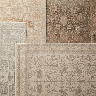 Jaipur Living Vienne Valentin VNE05 Cream/Light Gray Area Rug Main Image