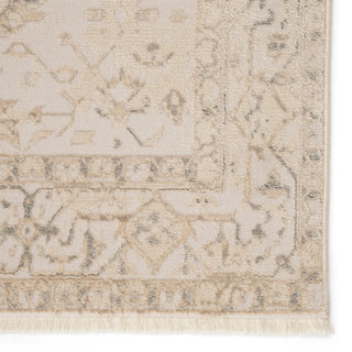 Jaipur Living Vienne Lucien VNE06 Cream/Light Gray Area Rug Detail Image