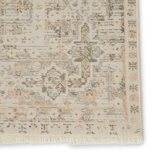 Jaipur Living Vienne Michon VNE07 Gray/Cream Area Rug Detail Image