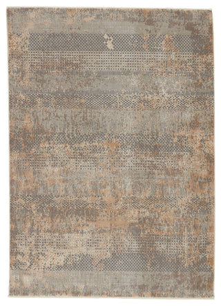 Jaipur Living Vienne Ezri VNE11 Gray/Tan Area Rug main image
