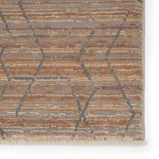 Jaipur Living Vienne Cavendish VNE12 Tan/Gray Area Rug Detail Image