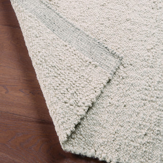Jaipur Living Vestra Alondra VST01 Cream/Light Gray Area Rug Lifestyle Image