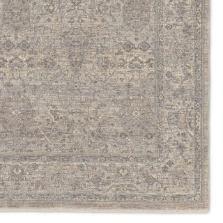 Jaipur Living Winsome Vivace WNO09 Gray/Taupe Area Rug Detail Image