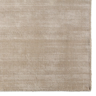 Jaipur Living Yasmin YAS04 Gray Area Rug Detail Image