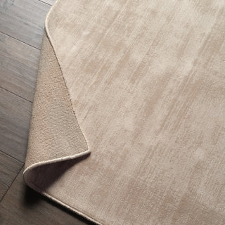 Jaipur Living Yasmin YAS04 Gray Area Rug Lifestyle Image