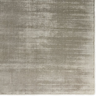 Jaipur Living Yasmin YAS11 Silver Area Rug Corner Image