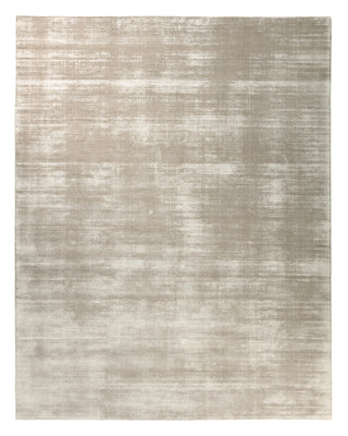 Jaipur Living Yasmin YAS11 Silver Area Rug main image