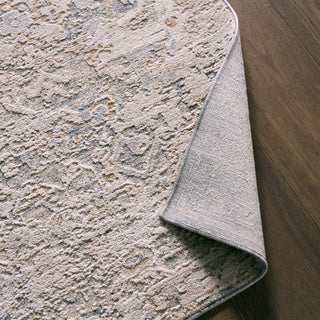 Jaipur Living Zarif Twig ZAR02 Cream  Area Rug Backing 