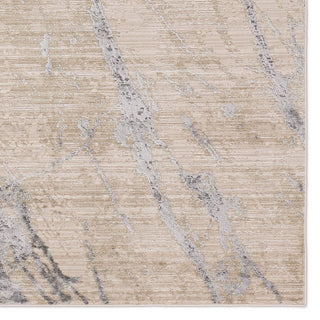 Jaipur Living Zein Ojas ZEI01 Tan/Gray Area Rug Detail Image