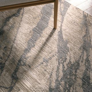 Jaipur Living Zein Ojas ZEI01 Tan/Gray Area Rug Close Up