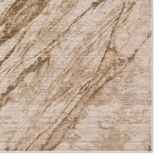 Jaipur Living Zein Ojas ZEI02 Tan/Brown Area Rug Detail Image