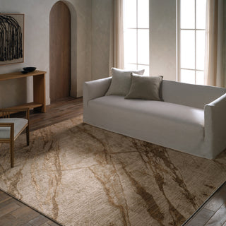 Jaipur Living Zein Ojas ZEI02 Tan/Brown Area Rug Lifestyle Image Feature