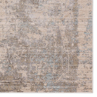 Jaipur Living Zein Keya ZEI04 Tan/Blue Area Rug Detail Image