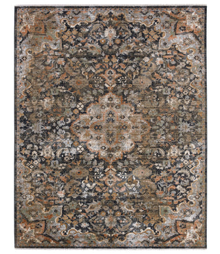 Jaipur Living Zefira Amena ZFA09 Black/Dark Taupe Area Rug main image