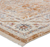 Jaipur Living Zefira Romano ZFA18 Brown/Cream Area Rug by Vibe