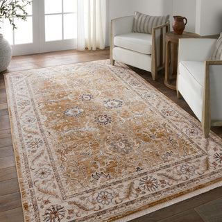 Jaipur Living Zefira Romano ZFA18 Brown/Cream Area Rug by Vibe