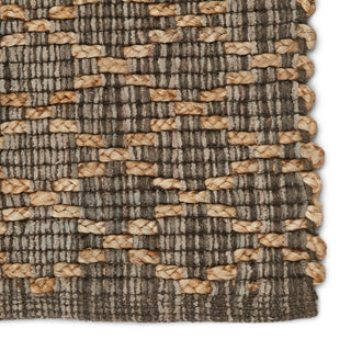 Jaipur Living Zealand Cecil ZLN01 Gray/Beige Area Rug Detail Image
