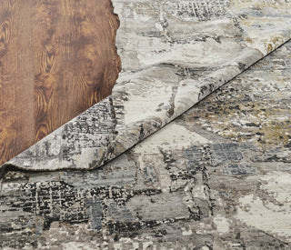 Ancient Boundaries Jaksen JAK-526 Grey Area Rug Main Image