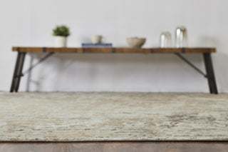Ancient Boundaries Janet JAN-084 Beige Area Rug Alternative Image