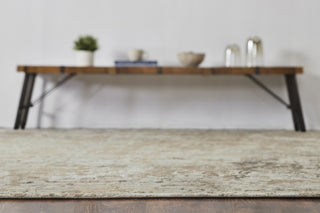 Ancient Boundaries Janet JAN-084 Beige Area Rug Alternative Image