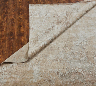 Ancient Boundaries Janet JAN-084 Beige Area Rug Alternative Image