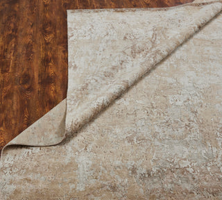 Ancient Boundaries Janet JAN-084 Beige Area Rug Alternative Image